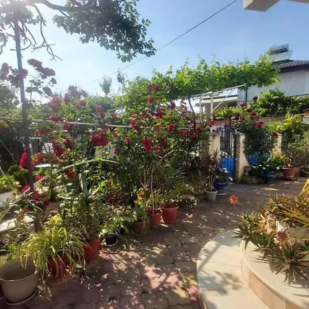 Vandrarhem Ana Si Alex *