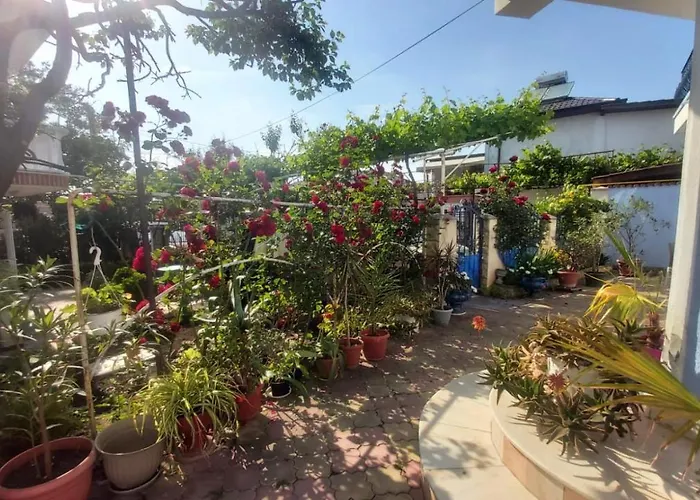 Hostel Ana Si Alex *